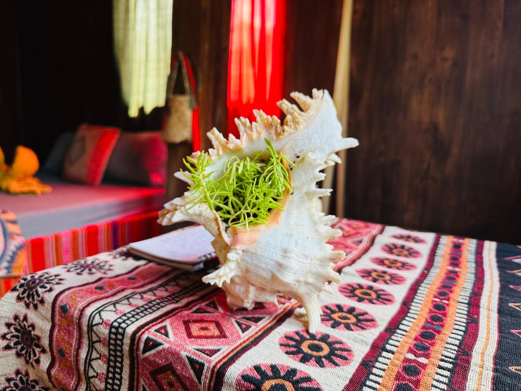 Wild Orchid- Lan Home Làng Cac Eksteriør billede